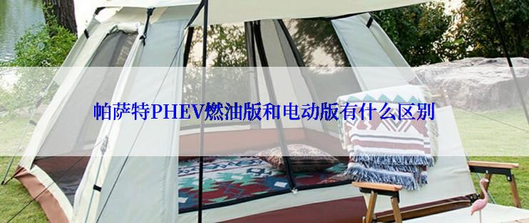 帕萨特PHEV燃油版和电动版有什么区别