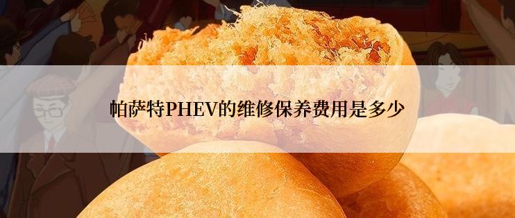 帕萨特PHEV的维修保养费用是多少