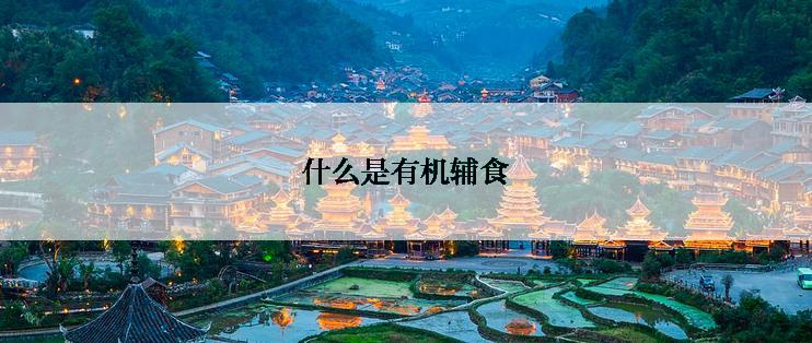 什么是有机辅食