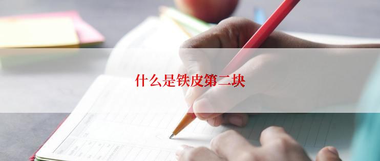 什么是铁皮第二块