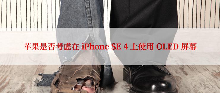 苹果是否考虑在 iPhone SE 4 上使用 OLED 屏幕