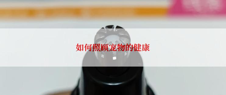 如何照顾宠物的健康