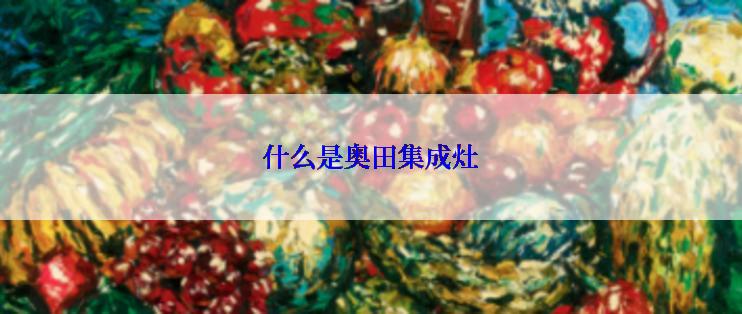 什么是奥田集成灶