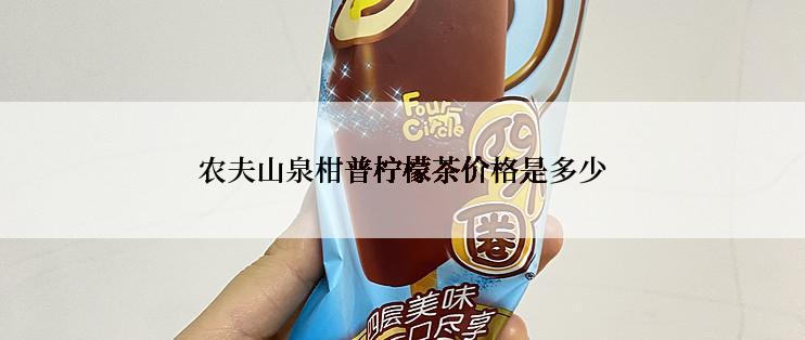 农夫山泉柑普柠檬茶价格是多少