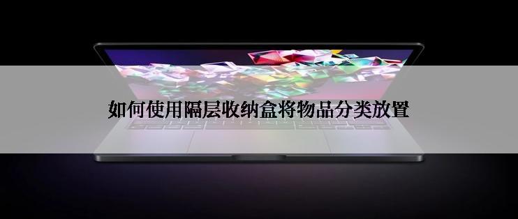 如何使用隔层收纳盒将物品分类放置