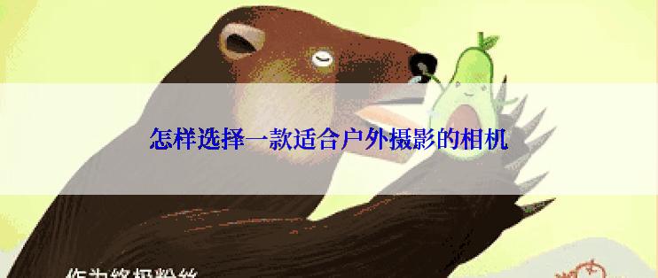 怎样选择一款适合户外摄影的相机