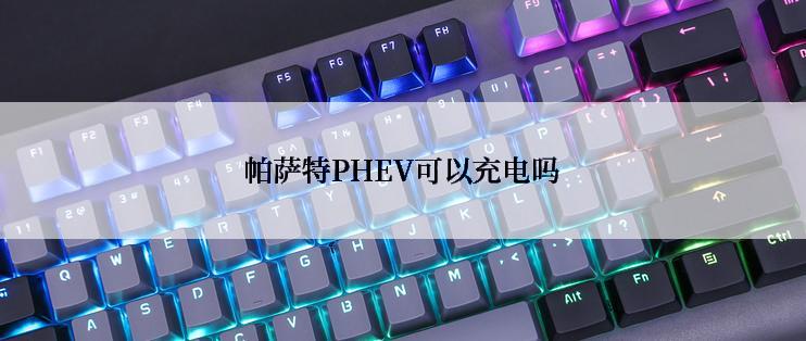 帕萨特PHEV可以充电吗