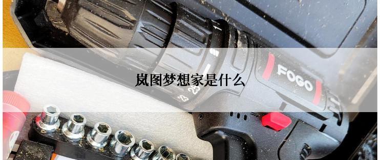 岚图梦想家是什么