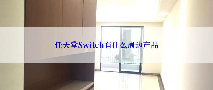 任天堂Switch有什么周边产品