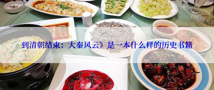到清朝结束：大秦风云》是一本什么样的历史书籍