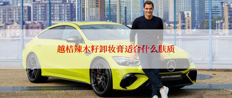 越桔辣木籽卸妆膏适合什么肤质