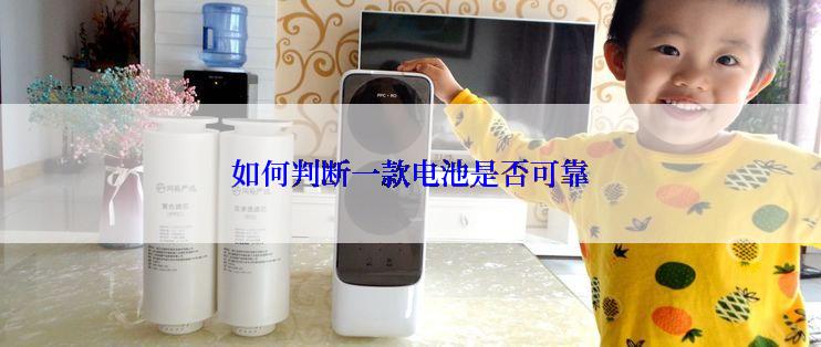 如何判断一款电池是否可靠