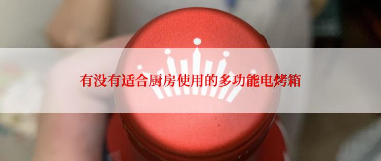 有没有适合厨房使用的多功能电烤箱