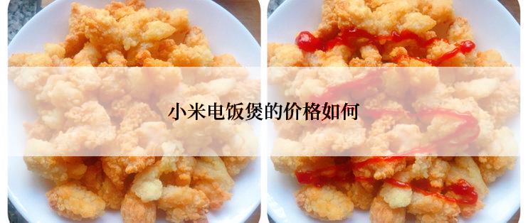小米电饭煲的价格如何