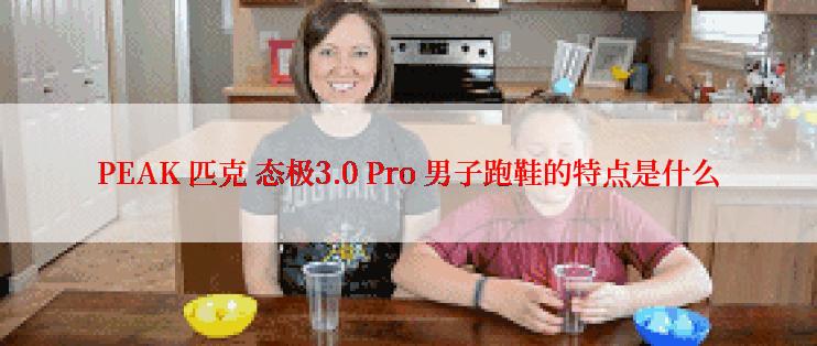 PEAK 匹克 态极3.0 Pro 男子跑鞋的特点是什么