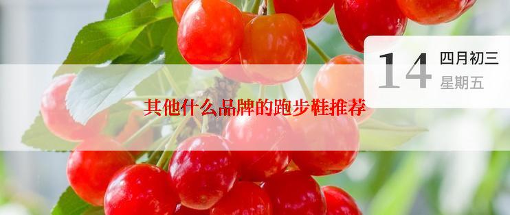 其他什么品牌的跑步鞋推荐