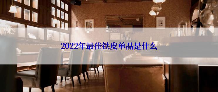 2022年最佳铁皮单品是什么