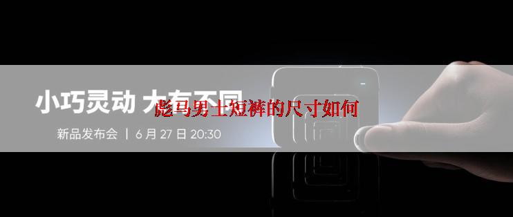 彪马男士短裤的尺寸如何