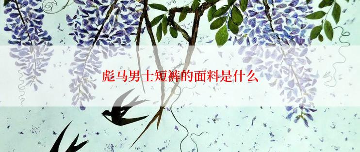 彪马男士短裤的面料是什么