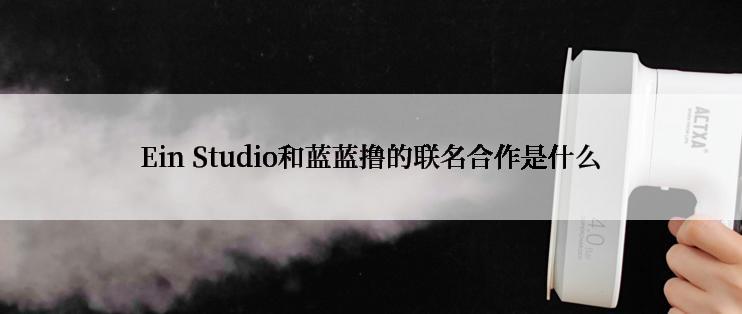Ein Studio和蓝蓝撸的联名合作是什么