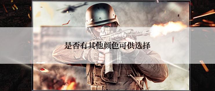 是否有其他颜色可供选择