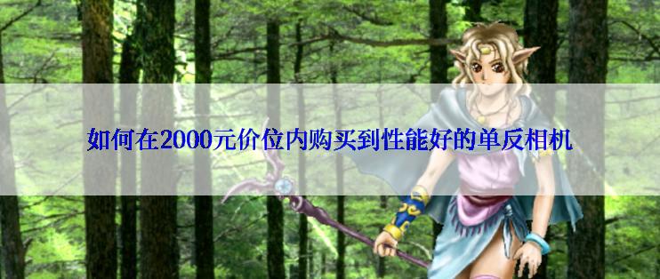 如何在2000元价位内购买到性能好的单反相机