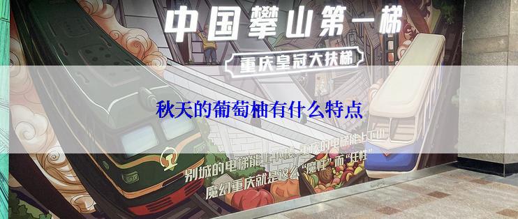 秋天的葡萄柚有什么特点