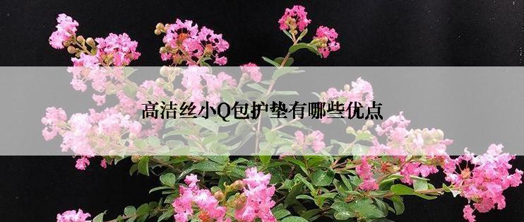 高洁丝小Q包护垫有哪些优点