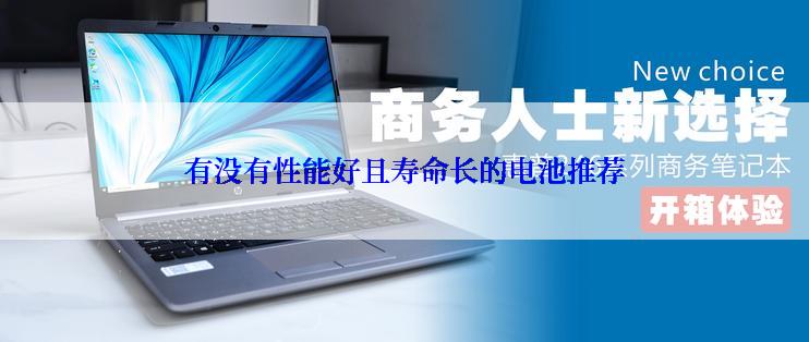 有没有性能好且寿命长的电池推荐