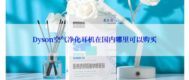 Dyson空气净化耳机在国内哪里可以购买