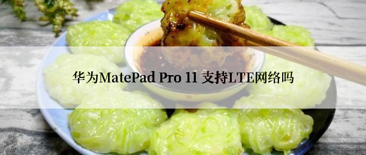 华为MatePad Pro 11 支持LTE网络吗