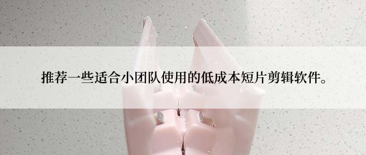 推荐一些适合小团队使用的低成本短片剪辑软件。
