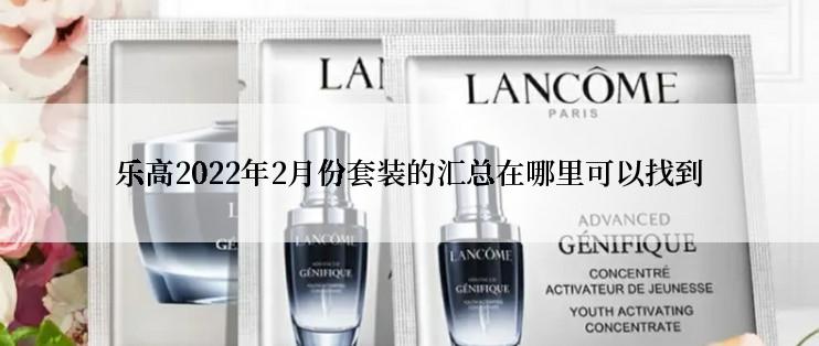 乐高2022年2月份套装的汇总在哪里可以找到