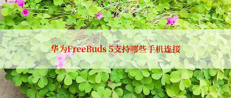 华为FreeBuds 5支持哪些手机连接