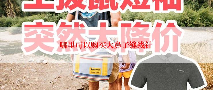 哪里可以购买大鼻子缝线针