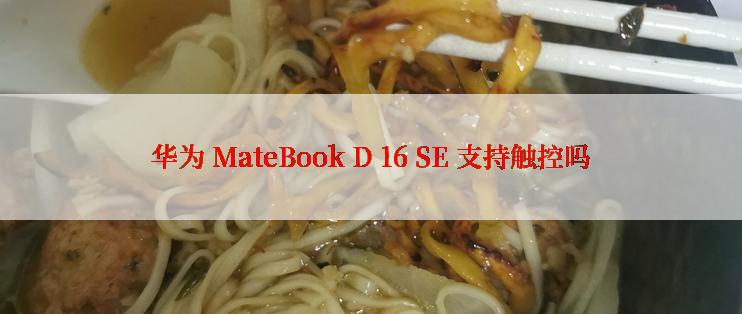 华为 MateBook D 16 SE 支持触控吗