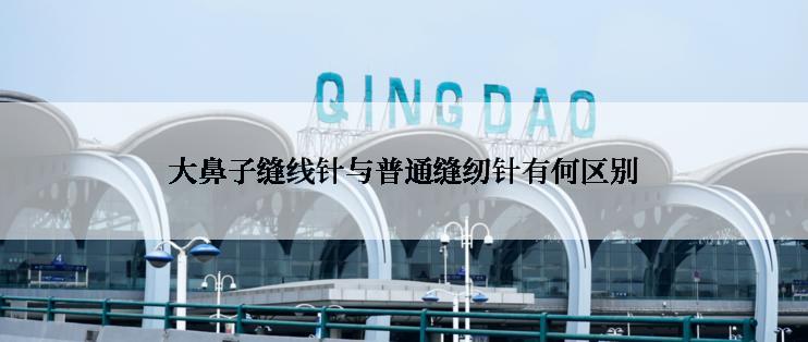大鼻子缝线针与普通缝纫针有何区别