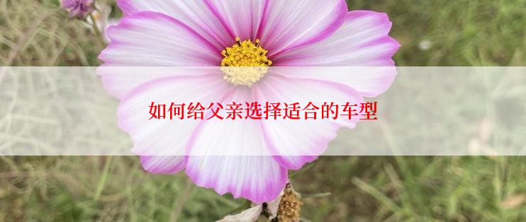 如何给父亲选择适合的车型