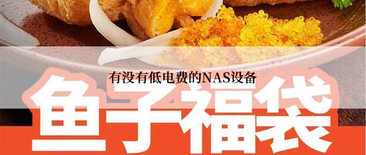 有没有低电费的NAS设备