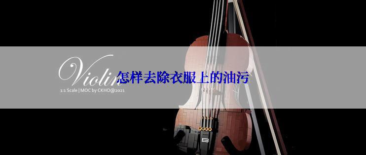 怎样去除衣服上的油污