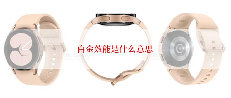 白金效能是什么意思