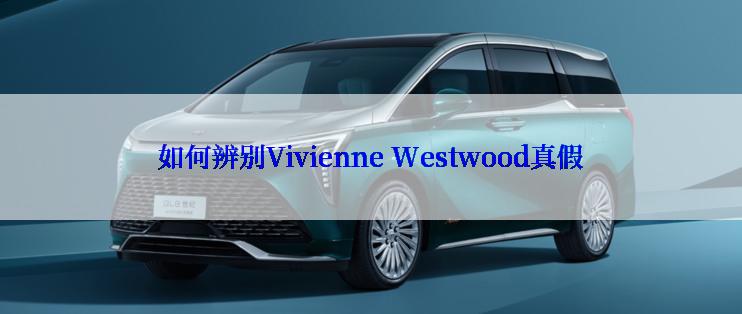 如何辨别Vivienne Westwood真假