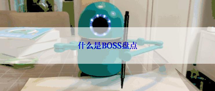 什么是BOSS盘点
