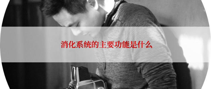 消化系统的主要功能是什么