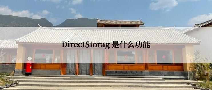 DirectStorag 是什么功能