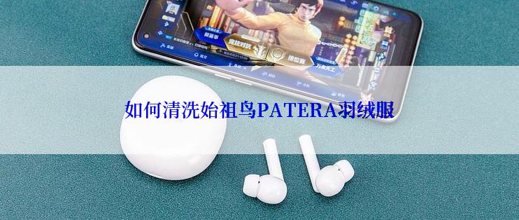 如何清洗始祖鸟PATERA羽绒服