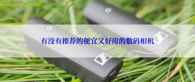 有没有推荐的便宜又好用的数码相机