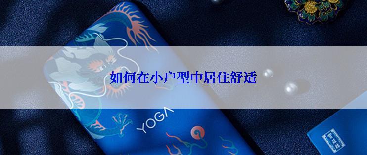 如何在小户型中居住舒适
