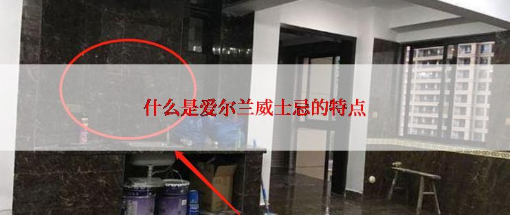 什么是爱尔兰威士忌的特点