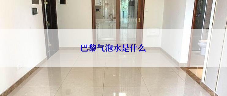 巴黎气泡水是什么